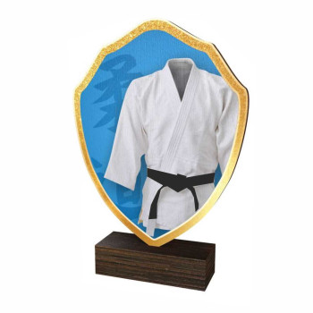 Trophée Bois Couleurs Judo...