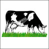 Vache - 124C