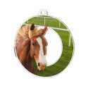 Médaille Acrylique 50mm EQUITATION Tête de Cheval - MDA0010M82