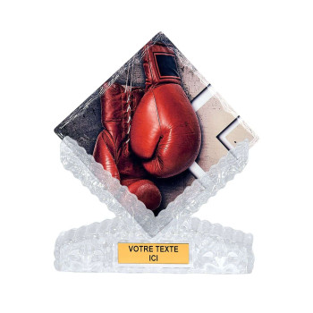 Trophée Céramique Boxe -...