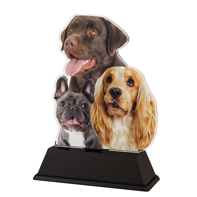 Trophée Acrylique EXCLUSIVITE Récompense Canine - BA-FA210A-M24