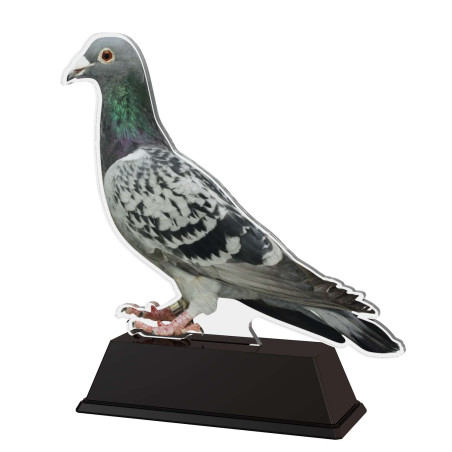 Trophée Acrylique EXCLUSIVITE Pigeon - BA-FA210A-M14