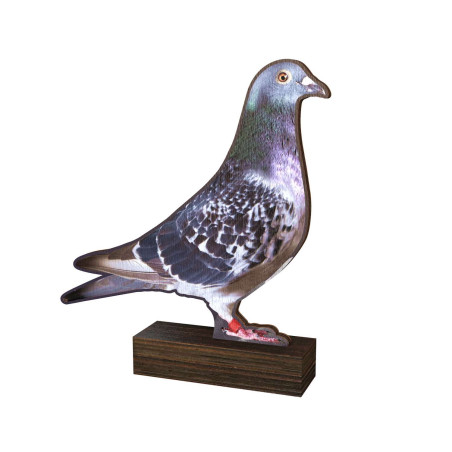 Trophée Bois Couleurs Pigeon - BA-WF002M045B