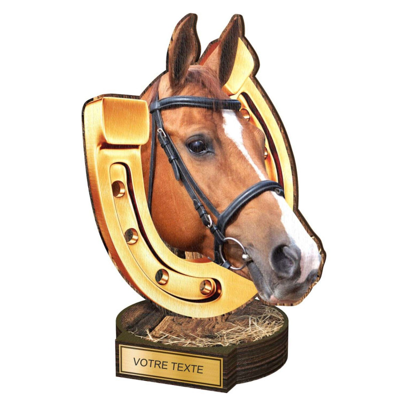 Trophée Bois Couleurs Equitation - BA-RW002M40