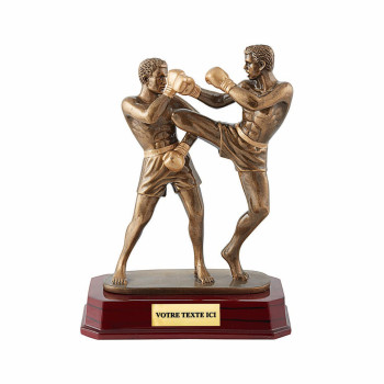 Trophée Résine Boxe - T-RS0781