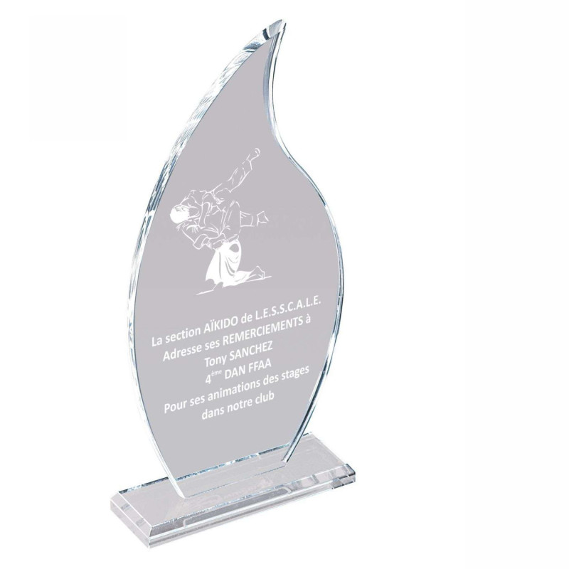 Trophée Création Acryglass T-PL056