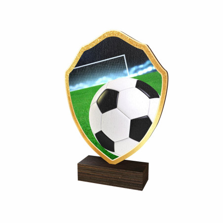 Trophée Bois Couleurs Football - BA-TFRW001