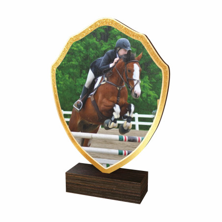 Trophée Bois Couleurs Equitation - BA-TFRW023