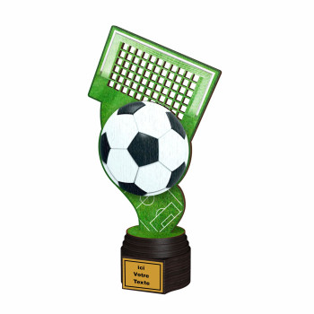 Trophée bois Football...