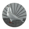 Pigeon - FG026