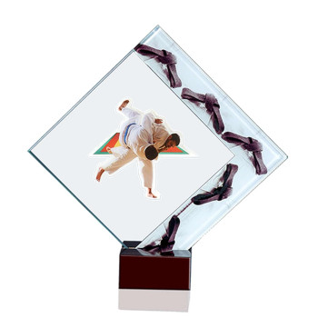 Trophée Verre Judo F-14105 MJ