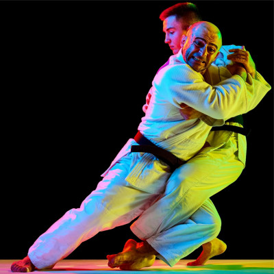 Récompenses Sportives Judo