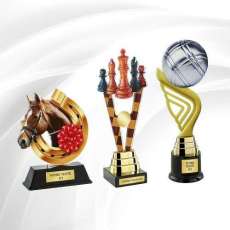 Trophée Football H342D08 – Distributeur de coupes et médailles dans l'Ain  Presti-France